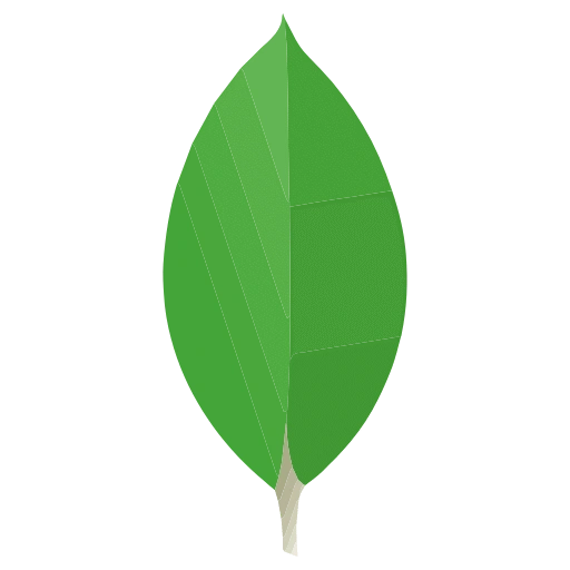 mongodb mongodb