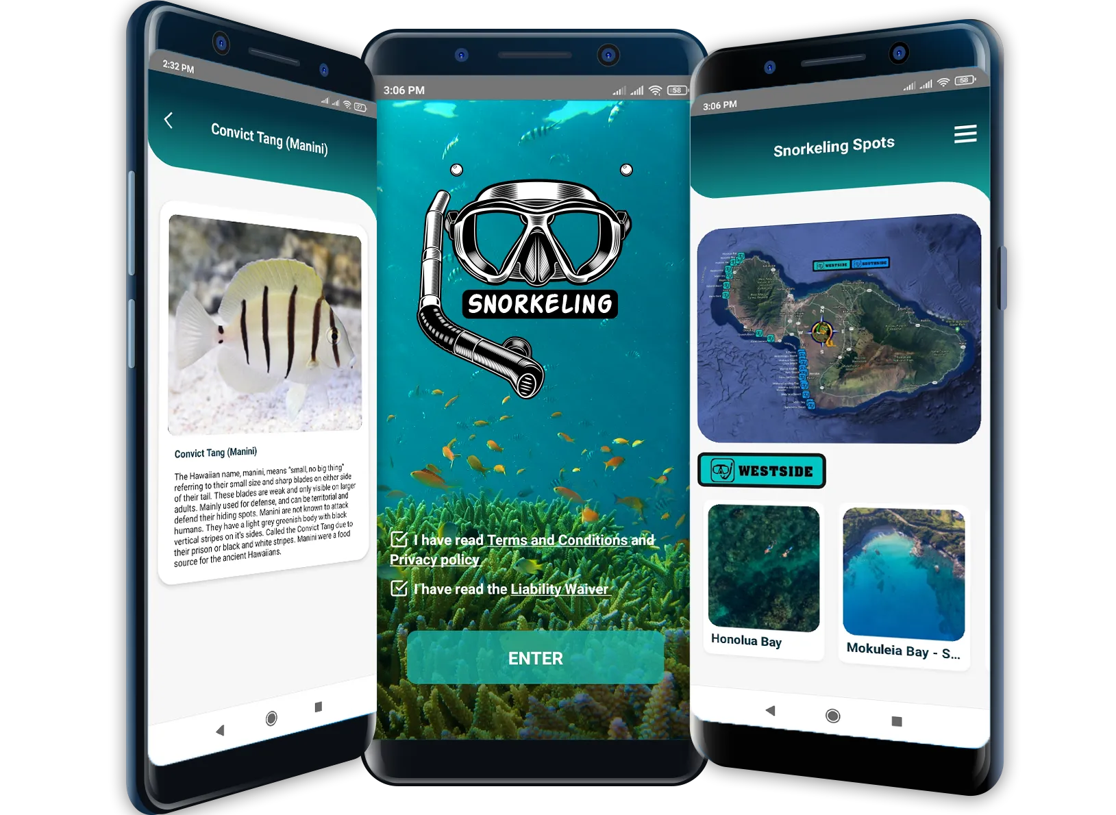 Three smartphones showing different screens of a snorkeling mobile app, including fish info, a welcome screen, and a snorkeling map.
